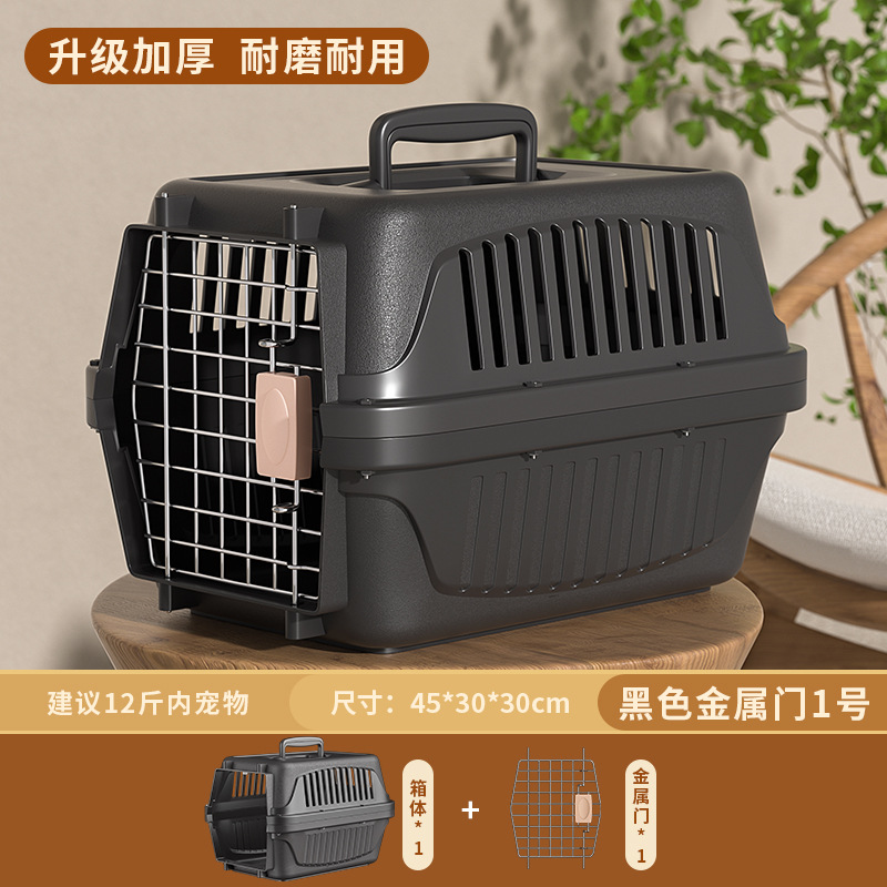 1# Avión Puerta de Plata Negra