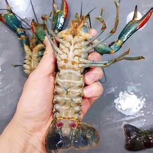 ���޵�ˮ���r�t�����r�N�r���~���sʳ�~�׌����Bֳ��Ʒ����{���r