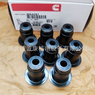 ����˹N14���T�ͷ�3064281 ԭ�S�������̙Cе�ڙC�������˹�ͷ�