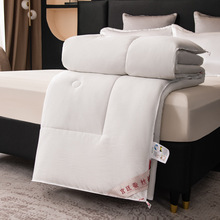 厂家批发蚕丝被全棉被芯春秋被纯色棉被空调被礼品被冬被皱皱被子