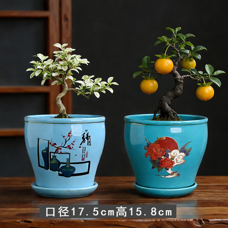 Kw+2 zhiyuan red flowers