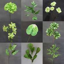 �Gɫ��ɭϵ��픾Gֲ�~�ӻ�c�������~��ˇ�b��߼ٻ��٘��~