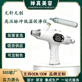 面罩美容仪;电子美容仪;注氧仪