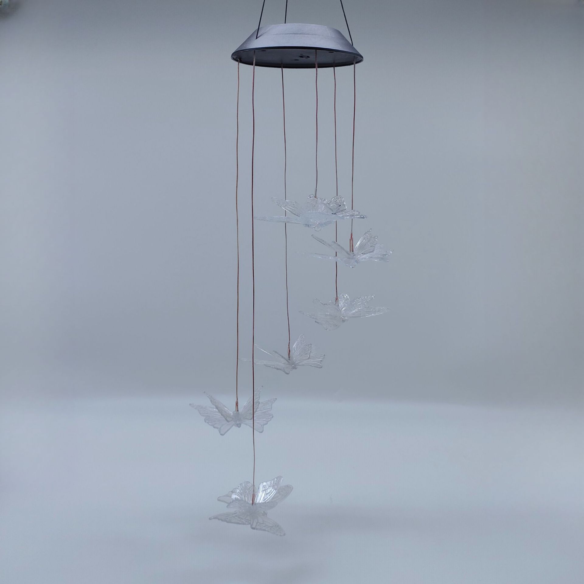 투명한 이중층 나비