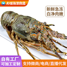 �r��С�������r�r����؛�r��r�������r��������r�W�����޴���