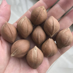 榄橄核原籽橄榄核原料特大超大梅林铁核原籽手串素核-阿里巴巴
