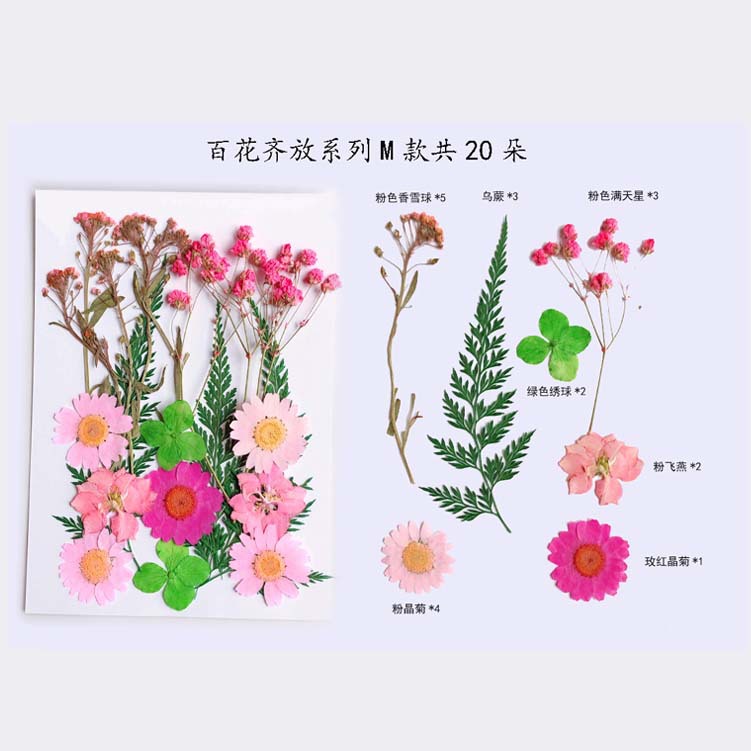 Paquete de material en relieve jardín de infantes en relieve DIY marcador epoxi flor seca caja del teléfono en relieve planta muestra