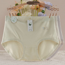 �¿�Ůʿ�ڿ���ŮĪ�����ڿ�����ӡ������͸�����ǿ�ͷŮѧ������