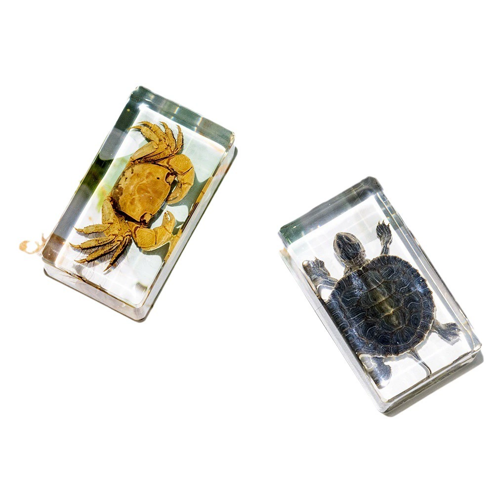 Прозрачные коллекционные фигурки бразильских черепах и крабов из смолы, декоративные украшения для дома, бизнес-подарки, сувениры, кристальный океан.
