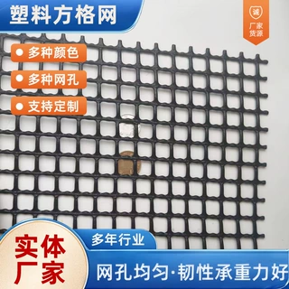 塑料网格网 养鸡养鸭网 户外圈地防护围栏网 水产养殖育苗网