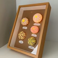 羡瓷天然海胆氛围灯摆台相框装饰画家具创意生日礼品标本材料海螺