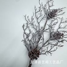 �羳�S���}�Q��֦�}�Q���֦�}�Q���b��}�Q��ѩ��֦�}�Q��ѩ��֦