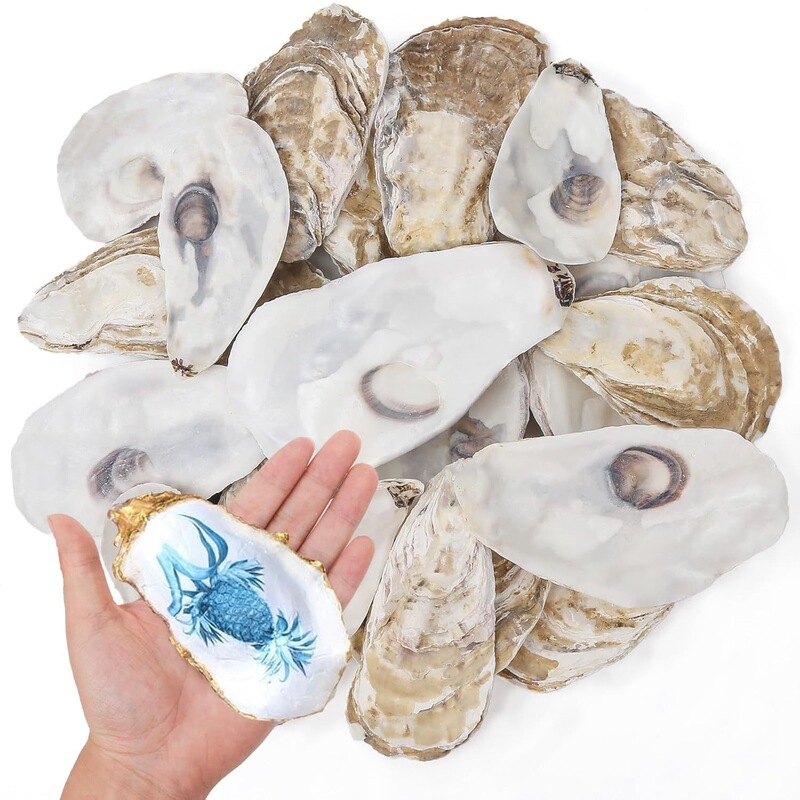 Graffiti Oyster Shell Crafts Christmas Decoration DIY Handicrafts Sea Shell Flat Concave Oyster Shell Graffiti Oyster Shell Crafts Christmas Decoration DIY Handicrafts Sea Shell Flat Concave Oyster Shell