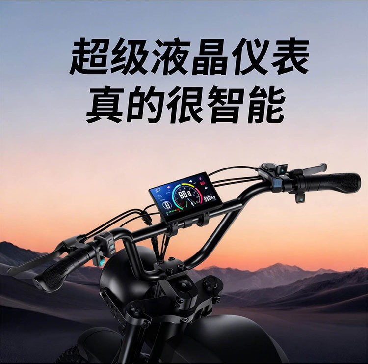 20-inch Fat Tire C93 Dual Drive E-Bike Mountain Off-Road Commuter