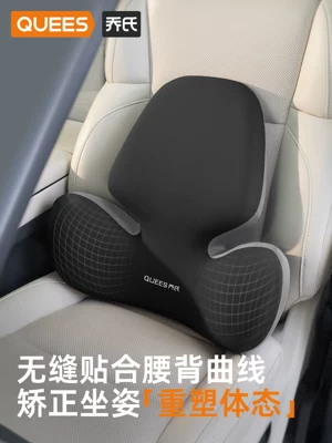 Car Headrest, Neck Pillow | Waist support
