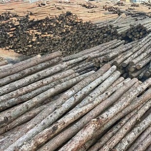 ��ľ����ľɼľ�����~�ɺӵ�ľ��ԭľ��Ѵ�o�¾G��֧�ΗU�Aľ