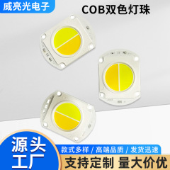 COB双色灯珠，白光，暖，100瓦，200瓦，根据客户要求定制超亮