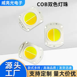 COB双色灯珠，白光，暖，100瓦，200瓦，根据客户要求定制高亮度