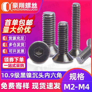 10.9��僺�懳��^�������ݽz����ƽ����˨M2/M2.5/M3�羳����