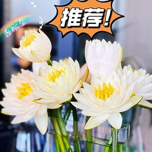 �V��˯ɏ�r���������ˮ�B����ɏ���r�л�����ˮ��ͬ�����f�����|