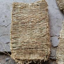 �����݉|�ӷ�Ѵ�ݰ����݉|�ӵ��ݴ����o�²ݴ���ѩ�ݴ����ݾ�����