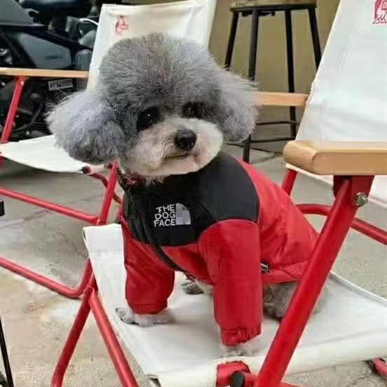 小狗狗衣服冬季新年羽絨棉服泰迪比熊博美加厚秋冬裝寵物貓咪衣服