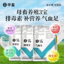 华畜母畜保健套餐补气血补铁补营养抗应激催乳催奶促长促发情