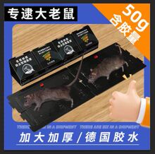 厂家生产粘鼠板超强力老鼠贴捕鼠器神器老鼠黏贴防尘型捕鼠屋