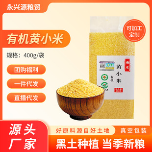 �˺��ЙC�SС��400g����b���N�Ƽӹ����Ƽ��ôּZ������s�Z���l