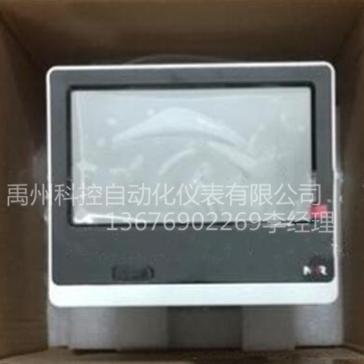 NHR-8748-X-20-A-D1/P/U  NHR-8748-X-X-A-D1/SD/E无纸记录仪