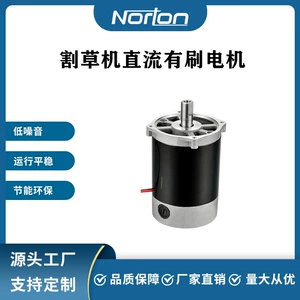ZY9716-450W24V с постоянным магнитом, щеточный двигатель постоянного тока, двигатель газонокосилки