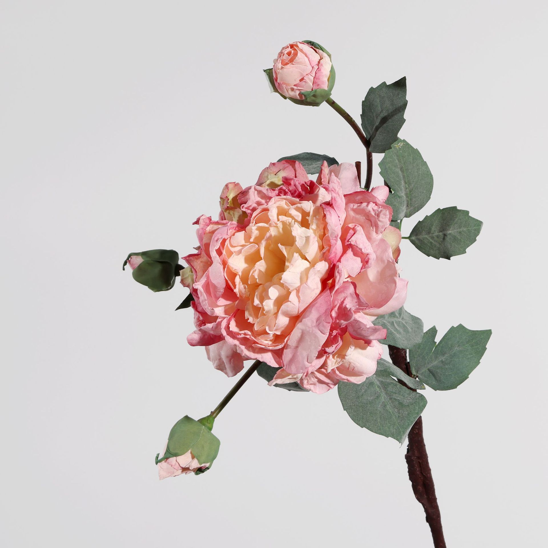 4 머리 술취한 양페이 모란 - 라이트 핑크