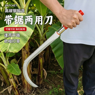 �r��砵��¿�һ�w��ݵ������_·䏘�����ո��������㽶��