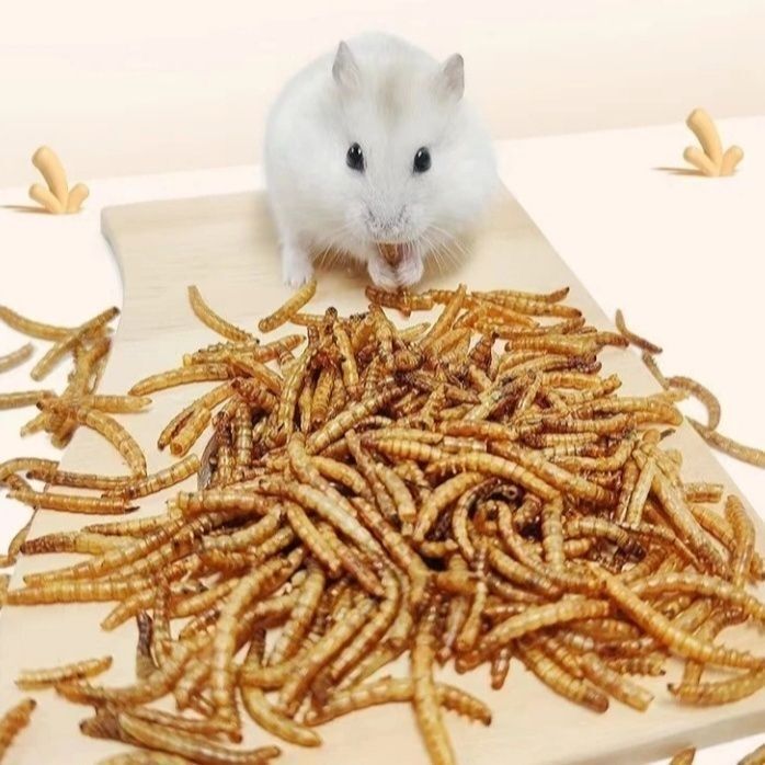 小さなハムスターの餌、ミルワーム、乾燥ゴールデンベア、ハリネズミ、イエローパウダースナック、主食、飼料、特別な栄養価の高い食品|undefined