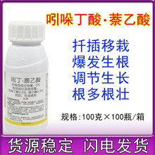 ����������5%���ᶡ�����ľ��������Ǥ��������Ѹ�����Һ��