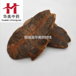 ������1000���A����ș ��ș�����l���� ���� �a��؛Դ ����ă�