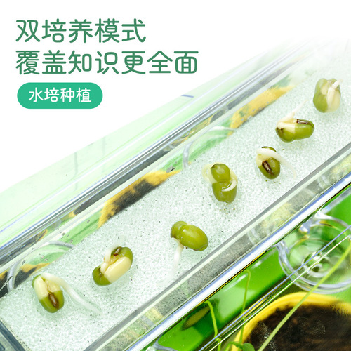 Learn from Youma, plant sunrooms, plant growth farms, grow vegetables and flowers, ecological plastic children's toys, scientific experiments