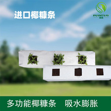 �M�ډ��sҬ���lҬ�u�����L���N���N������������|���������I�B��