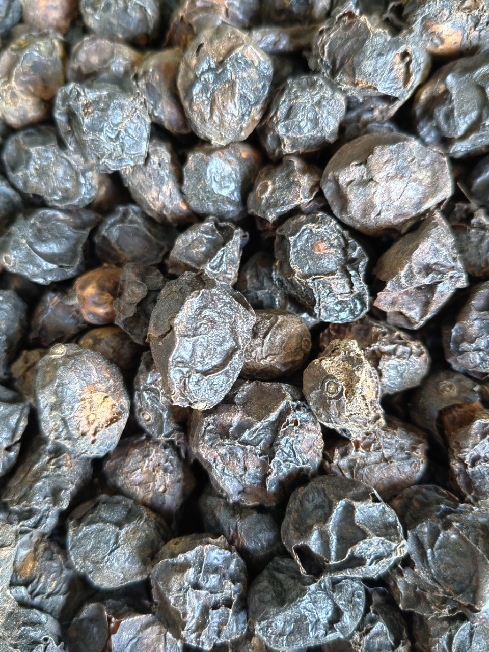 Guang Zao (Choerospondias axillaris) — Dried Wild Jujube Fruit for Tea & Soup overview