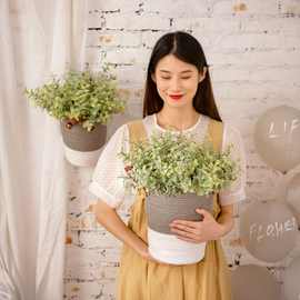 厂家销售 植毛瓜子草尤加利配草仿真花批发假花婚庆装饰GF16294A