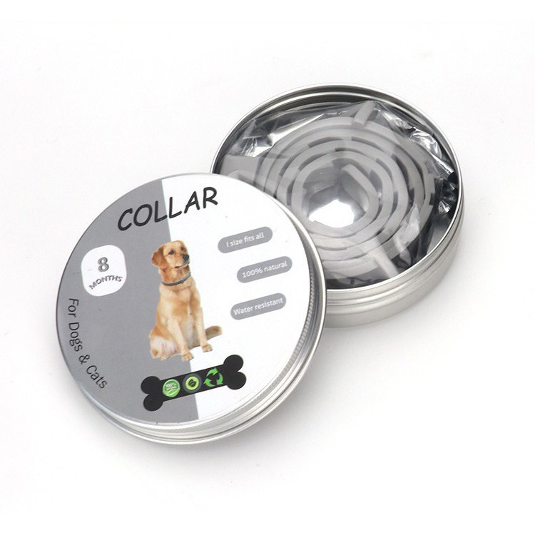 17304524729_246931702