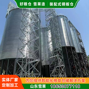粮食钢板仓 装配式新型粮仓 不锈钢防潮玉米小麦水稻立体圆筒仓-阿里巴巴