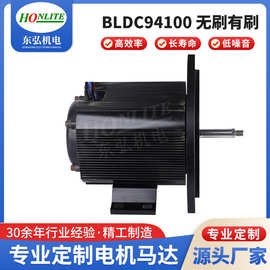 供应直流无刷电机12v洗碗机马达BLDC94100低高速调速电动机 加工