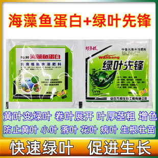 �G�~���h �����~ ���~ �S�~���� ���θ��ӿ����L�����~50g