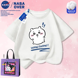 NASA���ļ���ͨ���޶����д�ͯ����Chiikawa ӡ��T���r�����e�b
