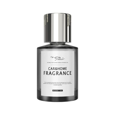 Silver Meizu Light Fragrance – Car Perfume Aromatherapy