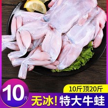 牛蛙鲜活新鲜特大田鸡蛙肉半成品牛蛙腿牛蛙肉冷冻商用石蛙批发10