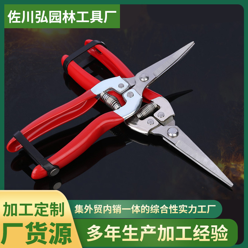 现货供应不锈钢摘果剪园林采果剪锯齿式开刃苗圃果树修剪稀果剪