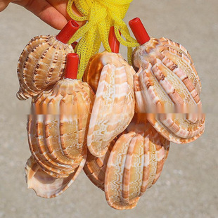 ��Ȼؐ�����ݿ�����̖��ˇƷ���ξ��^�YƷ�[�ؔ�ҹ�Ѓ�ͯ������l