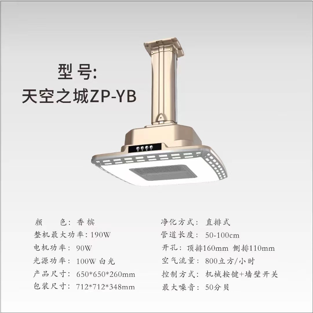 [특가] 샴페인 골드 하이라이트